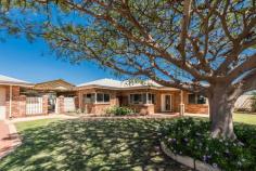 13 Calythrix Court Strathalbyn WA 6530 $725,000 It is not often you come across a home that is stayed in the one family since it has been built, which makes it a lovely family home. Time marches on and the family grows up and moves away so Mum and Dad follow. Plenty of room in the house and the yard to certainly add all of your own touches here Built in 1998 2000sqm block Stunning Poinsettia welcomes you to the front door 4 bedrooms all with build it robes and the office could be a 5th bedroom Ducted Evap aircon throughout the home Ceiling fans throughout the home Split system in main bedroom Main bedroom has large walk in robe and ensuite 3 other rooms to fit DB Beds Separate front lounge room Laundry has an inside clothesline with a ceiling fan Bathroom with a separate shower and bath Huge dining room space Kitchen overlooks the main family room with a breakfast bar Large kitchen pantry, double fridge space, dishwasher, 5 burner gas hot place, electric oven Natural gas connected to the home High ceilings all through the home Insulated windows all through 2 x 3mm glass with a .2m green tinge membrane for sound and temperature control Large undercover patio area 2 Car Garage with high roller doors 1 storage shed behind and a 2nd workshop behind that with a roller door into the backyard Storage room with amenities to the side of this area - new hot water system 50,000lt below ground pool which is approx 9.5 x 4.5 in size Outside clothesline in a sectioned off area, perfect if people visiting and you wants to put the dogs away Rainwater tank plumbed into the kitchen 2nd tank fills from the main to water the basic fruit trees in the back area Gas hot water system for main house Fake turf backyard that could easily be replaced for kids and dogs Water rates $282.60 per year (no deep sewer available) City Rates TBA