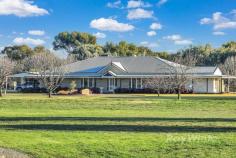 9 Casey Road Echuca VIC 3564 $1,690,000 This stunning property on the outskirts of town (8minutes from the Port of Echuca) has everything you could ever want plus more which makes this the perfect package. This outstanding modern home has all the creature comforts you need from natural light, large spacious kitchen/family area with a study off to the side, 3 bedrooms with the master having a walk in robe and ensuite. The games/rumpus room is ideally placed with easy access outside to the main undercover entertaining area (yes there are 2 entertaining areas) which is big enough for any family gathering and features electric blinds and access to the swimming pool (with heat pump) that has a sliding cover for shade on those hot days. I could go on and on about the home but there is more to talk about. There is a 2 bedroom, two bathroom fully self contained bungalow which would be perfect for an older family member, teenager or possibly to be leased out for some extra money. Shedding, well where do I start? There is a drive through caravan/boat garage as well as a 15m x 11m and a 6m x 6m workshop with ample room for all your toys. Lets not forget there is a GM water allocation and a bore with its very on desal system, 3 x 25000ltr water tanks, 3 megs high security and 0.7 low of water allocation, small orchard, around 13kw solar system and also a large paddock for those with animals, motorbikes or whatever you need extra space for. There is so much on offer that I cannot fit it all in. There is also a boat ramp at the end of Casey Road which is perfect for the river lovers. Properties like this do not become available very often so don't delay as I believe the first to inspect may purchase.