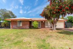 1 Newman Cl Cooloongup WA 6168 $595,000 This charming 3-bedroom, 1-bathroom home in popular Cooloongup offers a fantastic opportunity on a generous 726sqm corner block with potential for unrestricted side access and space for a workshop, pool or granny flat (subject to approvals). Set in a quiet cul-de-sac, the home features lovely flooring throughout, with timber skirtings and cosy carpets in the bedrooms. The rear living area is equipped with split system air conditioning, ensuring comfort year-round. Step outside to the spacious backyard with a pergola, perfect for entertaining, plus garden sheds ideal for storage or projects. Conveniently located within easy access to Rockingham Train Station, Rockingham Shopping Centre, and Cooloongup Primary School, with our beautiful foreshore and many family friendly beaches a short drive or bus ride away, this property is a must-see. Features include: • Reverse cycle split system air conditioner and gas bayonets • Nice flooring and timber skirting boards • Two separate living areas • Modern electric cooktop and oven in the kitchen • Carpets in the bedrooms with the master fitted with built-in robes • Family bathroom with shower over bath and vanity • Security screen windows and doors • Good size pergola for outdoor entertaining • 2 large garden sheds for your tools and storage • Carport fitted with an automatic roller door • Low maintenance backyard with established trees and gardens • Corner block with great side access and room for a granny flat or potential subdivision, both (STCA)