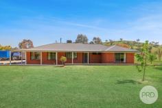 175 Martins Lane Piallamore NSW 2340 $1,020,000 Welcome to your very own slice of lifestyle living! 5 luscious acres situated at 175 Martins Lane, Piallamore with established trees and a beautiful outlook this property showcases a four bedroom brick home all bedrooms with built in robes. The master bedroom offers a large walk in robe for storage with a private ensuite attached, the large living / dining area has a wood fire installed and has direct access through the glass sliding doors out to the back undercover entertaining area. This is the perfect place to host friends or family and enjoy the summer evenings overlooking the inground swimming pool. The gravelled driveway offers two entrances allowing you access to the double lock up shed coupled with the double carport extension provides you with ample amount of parking and storage space for vehicles, floats or caravans. Attached to the back of the shed you will find two horse stables as well as fully fenced paddocks all with troughs serviced by the communal bore, the property has four rain water tanks 2x 22,500L 1x 20,000L 1x 10,000L and 20 solar panels on a 5KW system that feed back to the grid, lifestyle blocks like these do not come up very often so do not miss your chance to secure it!