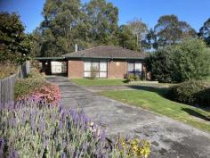 11 Apex Crt Foster VIC 3960 $645,000 Supersized retro BV home set on approx. 726m2 block in a quiet court just a flat stroll to the medical precinct and centre of town. With space to share, you could move in or rent out immediately, modernize or completely renovate. Light filled north facing living / dining room features wood heater and electric heat bank. Central kitchen adjoins meals area. Five fitted bedrooms, bathroom with separate w.c. and laundry/utility room. Covered outdoor spaces provide room for entertaining or are a hobbyist's dream. A carport gives covered access into the home and caravans/boats can be accommodated in the LU garage/workshop with power and annexe. Large wood shed and lockable storage shed. For gardeners, there is a covered fernery and propagation area, vegetable garden, chook pen and established fruit trees amidst the fully fenced gardens adjoining Stockyard Creek. Potential plus in a coveted location.