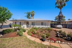 184 Bourke Street PICCADILLY WA 6430 $570,000 Welcome to 184 Bourke Street, located near parks and sporting grounds in the highly requested Piccadilly suburb. Inside this property, you’ll find 3 generous bedrooms, two of which have substantial built-in-robes, two modern bathrooms, one also containing laundry fittings for added convenience, a modern kitchen with a well-thought out floorplan, and a spacious living/dining area. Outside, this property begins to put it’s nose above the crowd, with a large alfresco area, and external 4th bedrooms, with vanity sink, and a large 8 by 6 games room, if this wasn’t enough there is also a powered 6 by 6 workshop shed. A blank canvas yard means you can make this property what you want, whether you want large amounts of grass, or a pool, there is space for it to happen. • 4 Bedrooms • 2 Bathrooms • Modern Kitchen • Large Games Room • Living/Dining Room • Stunning Frontage • Split-System Aircon Throughout • Powered 6 by 6 (approx) workshop shed • Large Alfresco
