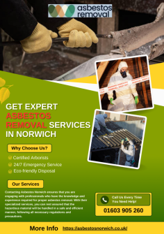 For top-quality asbestos removal Norwich https://asbestosnorwich.co.uk/ , trust Asbestos Norwich! We offer professional, fully licensed asbestos removal services for homes and businesses across Norwich. With our experienced team, we guarantee a safe, thorough, and efficient process. Don’t compromise on safety—get expert help today. Visit now to book your asbestos survey and removal!