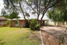 132 Easton Road Castletown WA 6450 This charming brick veneer and iron home offers comfortable and practical living spaces plus three well-sized bedrooms, all featuring built-in robes. The open-plan kitchen, dining, and family area provide a welcoming space for everyday living, while the separate lounge boasts a cozy pot belly stove and reverse cycle air conditioning for year-round comfort. Outside, the large patio is perfect for entertaining, and the rear yard access leads to two handy garden sheds, offering plenty of storage. A carport under the main roof provides sheltered parking, adding to the convenience of this well-appointed home. Ideal for first-home buyers, downsizers, or investors, this property is a fantastic opportunity not to be missed.