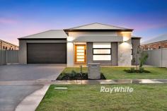 9 Amalfi Way Irymple VIC 3498 $730,000 - $803,000 Damian Portaro, Principal & Chairman's Elite Sales Agent at Ray White Mildura, proudly presents 9 Amalfi Way, Irymple, a brand-new statement of style and sophistication by Onorato Developments. Never lived in, this exceptional home delivers flawless design, premium finishes, and a level of comfort that sets a new standard for modern living. From the moment you arrive, the stunning facade, featuring striking stone elements, sets the tone for the high-end features within. Stepping through the grand timber door, a sense of space and refinement unfolds. A soaring entrance hall welcomes you, leading to expansive open-plan living areas that seamlessly connect to a beautifully landscaped alfresco. Oversized glass sliding doors create a seamless indoor-outdoor flow, perfect for entertaining. The heart of the home is the exquisite kitchen, a chef's dream with a statement stone island bench, double oven, induction cooktop, and walk-in pantry with a second sink and plumbed fridge cavity. Shaker-style 2-pac cabinetry and brushed nickel tapware complete the elegant aesthetic. The living spaces are designed for both practicality and indulgence, with a separate theatre-style lounge providing the perfect retreat for family movie nights. The master suite is an indulgent sanctuary, featuring a bespoke walk-in robe with oak-style cabinetry, integrated drawers, and shoe storage. The ensuite is designed for ultimate relaxation, with stone benchtops, a large shower, separate toilet, and floor-to-ceiling tiles. Three additional bedrooms, all with built-in robes and ceiling fans, are serviced by a beautifully appointed main bathroom with a freestanding bath. A large powder room provides an additional space to get ready, reinforcing the home's thoughtful design. Beyond the interiors, the outdoor living space is equally impressive. A massive entertaining area creates the perfect setting for all-season entertaining. The landscaped 715m² allotment offers space without excessive maintenance, while the double garage includes built-in storage and backyard access for added convenience. Positioned in one of Irymple's most prestigious locations, this home is moments from leading schools, shopping, and recreational facilities. A rare opportunity to secure a brand-new, never-lived-in luxury residence, designed for those who appreciate the finer things in life.