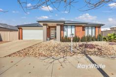 23 Wisteria Street Echuca VIC 3564 $730,000 You will absolutely love this home, It is big, spacious, steel framed, and located right across the road from a park reserve. You will never get built out and has a lovely walking track around the area. You certainly do not feel hemmed in here. This is a family super sized home offering four bedrooms plus a study. The master suite has an excellent walk in robe and en-suite. All the bedrooms have built in robes. The kitchen is a great size with a dishwasher, lots of storage, gas appliances and a walk in pantry which is incorporated into this large living and dining space with lots of natural light. There are in fact 2 living zones. In addition ducted heating and cooling throughout, internal access from the double remote garage into the home and excellent side access to a delightful rear garden and small shed. The home sits on a block size of approximatley 702m2. You will enjoy endless evenings in the summer in your undercover outdoor area as well. The home is very well located in Murray Gardens within walking distance to St Mary's Primary and Twin Rivers Primary Schools, close to shops, supermarket and parks. This is a growth area with everything at your doorstep, including space. Don't miss out on this fabulous beautiful home.