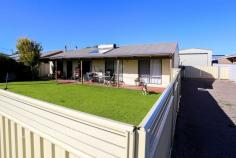 9 Maple Street Castletown WA 6450 $545,000 Step inside this newly renovated home with an open plan dining and lounge offering a ceiling fan, tile fire, and reverse cycle for all-season comfort. The separate galley style kitchen includes a dishwasher and large oven. All three bedrooms feature built-in robes and ceiling fans. Outdoors, you’ll find fully enclosed front & rear yards, complemented by verandahs for year-round enjoyment. An outdoor shower and rear access leads to a new 11m x 7m Boat/Caravan Shed with a rainwater tank installed at the side and 11m x 6m lean to with separate 6m x 6m garage. An ideal package for tradies, hobbyists, or anyone needing extra storage.