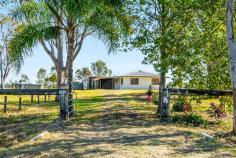 570 Ellangowan Rd Yorklea NSW 2470 $495,000 The perfect project for those looking for an entry level rural property with heaps of potential. Whether you are looking for a hobby farm, space for horses, peaceful country living or just room for the kids to run wild this property has much to offer. Located in picturesque Yorklea only a five minutes drive from Casino CBD, local shops and schools. The fully tiled dwelling consists of 4 bedrooms, a spacious lounge, functional eat in kitchen and bathroom and offers great potential for the home builder/handyman or those looking for a property with future profit opportunity.