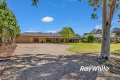 7 Schoeffel Drive Echuca VIC 3564 $1,075,000 Discover the perfect blend of space, comfort and location in 7 Schoeffel Drive - a large well presented four bedroom plus study family home, positioned in the popular and established Chelsworth Estate. This thoughtfully designed residence offers exceptional family living. With its clever dual-wing layout, the parents' retreat is separate from children's quarters, making it ideal for growing families. The ideal family package - three living spaces, a pool for entertaining, practical shedding, and a large garage for all the toys. The home's features: 4,043 allotment In ground salt water pool with solar heating Evaporative cooling and ducted heating throughout 5kw solar power system Updated kitchen with modern appliances Approximately 33 squares of undercover living 4 bedrooms including ensuite & WIR to the master suite Study Dual living areas providing multiple entertaining zones Well-appointed kitchen with modern appliances, plus dining and third living area Spacious outdoor entertaining area with bricked fireplace Large double electric lock-up garage (9mx6m) Rear shed (12mx6m) with concrete floor, roller door and power