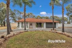19 Pambula Court Echuca VIC 3564 $990,000 Set on over 1 acre and having everything you need is this spacious property in the Fehring Lane Estate. The home boasts 3 bedrooms and study/4th bedroom with the master having a walk in robe and ensuite. There are two living areas, one at the front and the other at the rear of the house so well separated for those that like their own room. The kitchen and dining area are set in the middle of the home and have direct access to the undercover entertaining area and inground swimming pool. The home has direct access from the double garage and ducted heating and cooling along with split system to keep you comfortable all year round. The yard space is excellent with rear access and heaps of room for the kids and pets to run around. There is a separate driveway to the shedding which is every mans getaway place and when all added up this is the perfect package for the growing family or someone looking for space.
