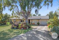 16 Darrell Road Tamworth NSW 2340 $749,000 - $789,000 Set in the peaceful suburb of Calala, 16 Darrell Road offers the ideal family lifestyle with space, comfort, and convenience. This well maintained 4 bedroom home sits proudly on a generous 1,415m² block, providing ample room for the whole family. The home features 4 bedrooms, ensuite and main bathroom and separate toilet, including a rumpus room and a separate studio at the rear, perfect for a home office, creative space, teenage retreat or guest accommodation. The covered outdoor alfresco area is ideal for year round entertaining, while the large tandem garage offers excellent vehicle accommodation and storage. Enjoy the relaxed Calala lifestyle with local amenities just moments away. Including an IGA supermarket, chemist, butcher, and takeaway options all within a quiet, family-friendly neighbourhood. Key features: - Expansive 1,415m² block - Outdoor alfresco area for entertaining - Large tandem garage plus rumpus and studio - Peaceful location close to Calala conveniences - Established chicken pen and orchid with built in watering system Perfect for families, investors, or anyone seeking space and versatility in a quiet, established area.