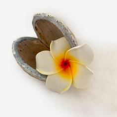 Notre Bonbonnière Exotique : Une Expérience Cadeau Unique et Luxueuse Nos Bonbonnière Exotique se distinguent par leur sélection pointue de confiseries du monde entier. Elles contiennent souvent des chocolats haut de gamme, des bonbons au matcha ou aux fleurs, des gommes aux fruits tropicaux, des bonbons aux épices et des importations en édition limitée.