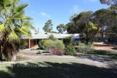 26 Connolly Street Pink Lake WA 6450 $1,200,000 Set on 2 hectares of semi-cleared land, this versatile lifestyle property offers spacious family living with the added benefit of a self-contained granny flat-ideal for extended family, guests or independent living. The main residence features 3 bedrooms and 2 bathrooms with open plan kitchen, dining and living at the heart of the home, warmed by a cosy tile fire. An office provides the perfect space for working from home, while charming bay windows and wrap around verandahs add character and country appeal. Adjoining the home is a self-contained 1 bedroom, 1 bathroom granny flat, complete with formal lounge, kitchenette and its own tile fire. With separate access and connection to the main home via a large family/games room, the layout offers both privacy and flexibility. Outdoors is designed for relaxed rural living. Lawns and established gardens frame the home, supported by reticulated bore water, while two rainwater tanks (45,000L combined) supply the house and can be topped up from the bore if required. Entertain year-round in the huge fully enclosed gable-roof patio, featuring windowed surrounds and a pot belly for winter comfort. Additional improvements include: • 6m x 6m powered shed • 3m x 6m powered shed with lean-to • Substantial chicken coop with secure yard Conveniently located just 3.4km from the town centre and only 1.5km to the local IGA, with the local TAFE directly across the road, this property offers the perfect balance of rural space and town convenience.